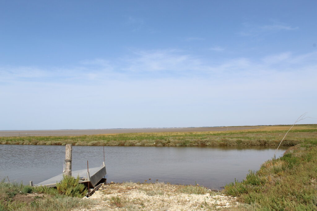 Marais de Mérignac